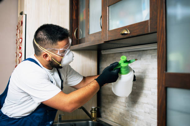 Best Pest Prevention Services  in Columbus, NM