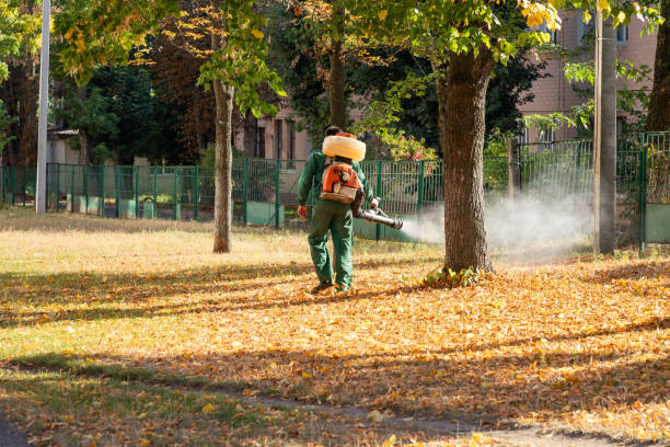 Best Flea Control Services  in Columbus, NM